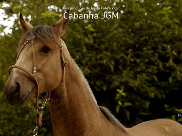 Eventos de Cabanha - JGM