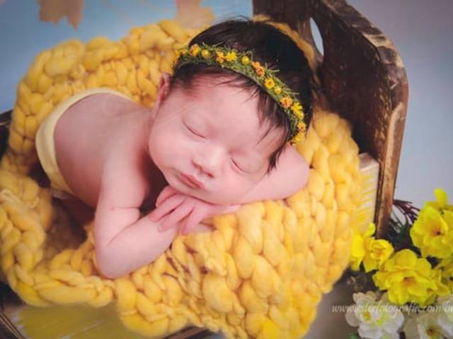 Newborn de Ensaios Newborn Temáticos