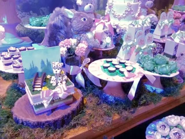 Video de Primeiro  Aninho Ana Elise