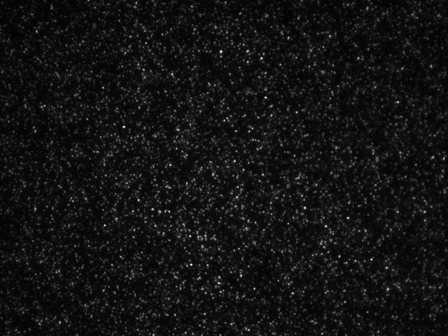 Microscopy © Not Me of Sky under the microscope