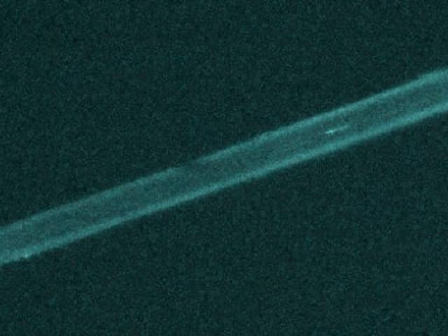 Microscopy © Not Me of Plasmodium sporozoite injection