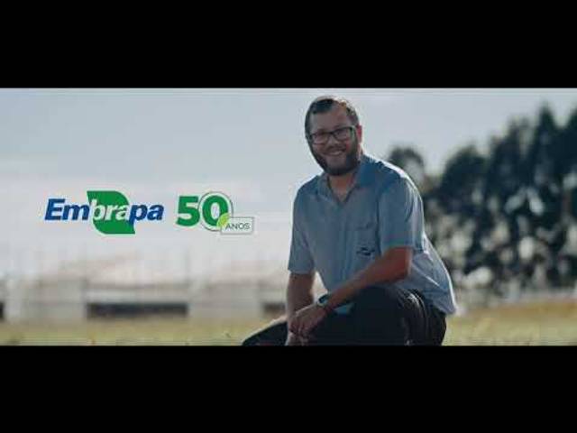 REFERÊNCIAS de ARROZ VASCONCELOS