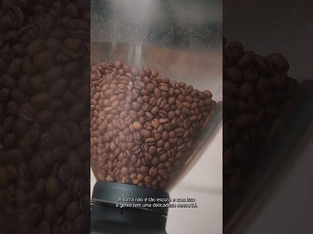 Gastronomia de Vídeo de gastronomia - Day Off Café