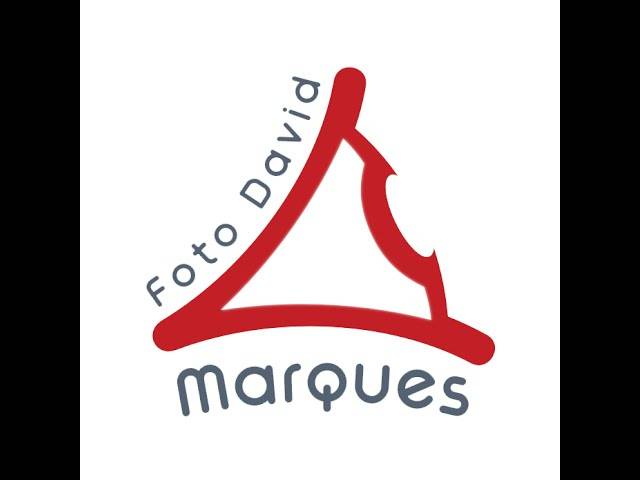 Filmes  de Carnaval Infantil Vale de Cambra 2020