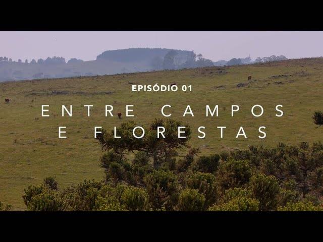 VÍDEOS de EP1 - ENTRE CAMPOS E FLORESTAS