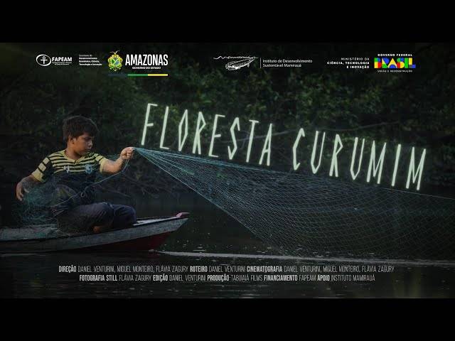Natureza de Floresta Curumim
