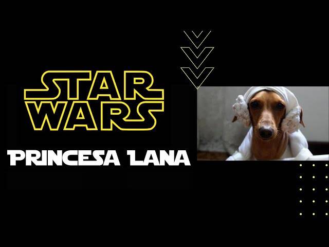 AUDIOVISUAL de PRINCESA LANA