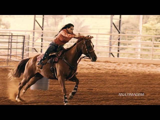 Aniversários de Layla - the horse and the girl lass