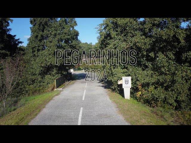 Video de Pegarinhos 2024