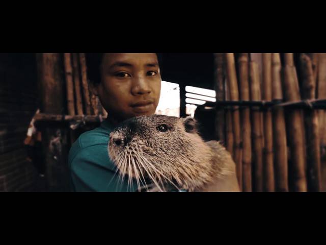 VÍDEOS de O ESPÍRITO DAS ÁGUAS