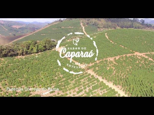 Institucionais de Café Sabor de Caparaó