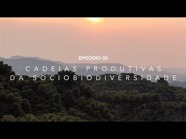VÍDEOS de EP5 - CAEIAS PRODUTIVAS DA SOCIOBIODIVERSIDADE