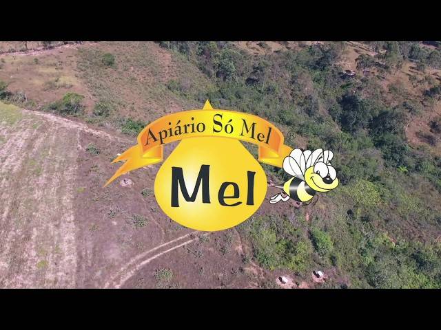 Institucionais de Apiário Só Mel