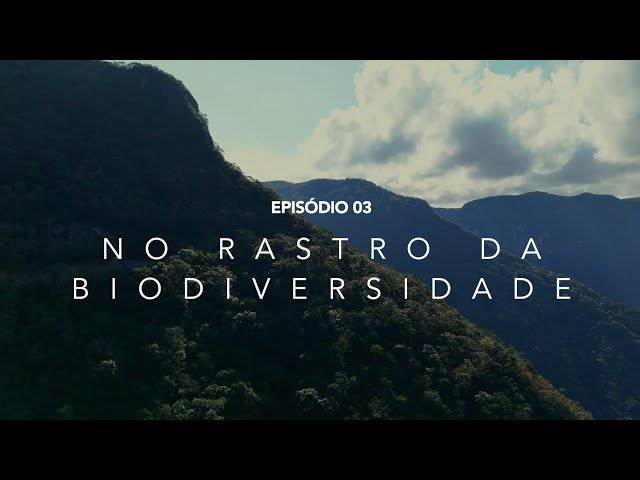 VÍDEOS de EP3 - NO RASTRO DA BIODIVERSIDADE