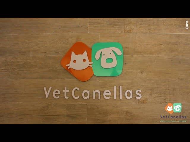 Produção de Vídeos de VetCanellas