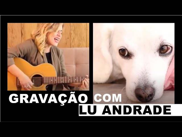 VÍDEOCLIPE de GRAVAÇÃO DE VÍDEOCLIPE