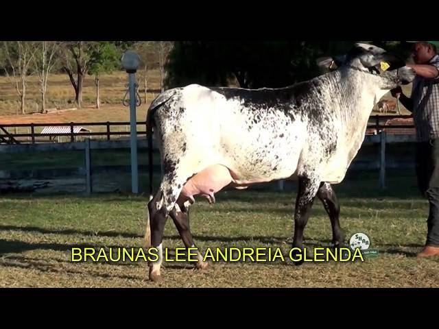 Vídeos Institucionais de Shangrilá | Institucional