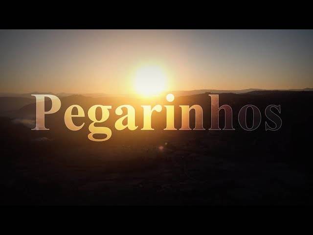 Video de Pegarinhos