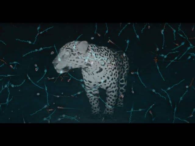 VÍDEOS de REPROCON - INSTITUCIONAL