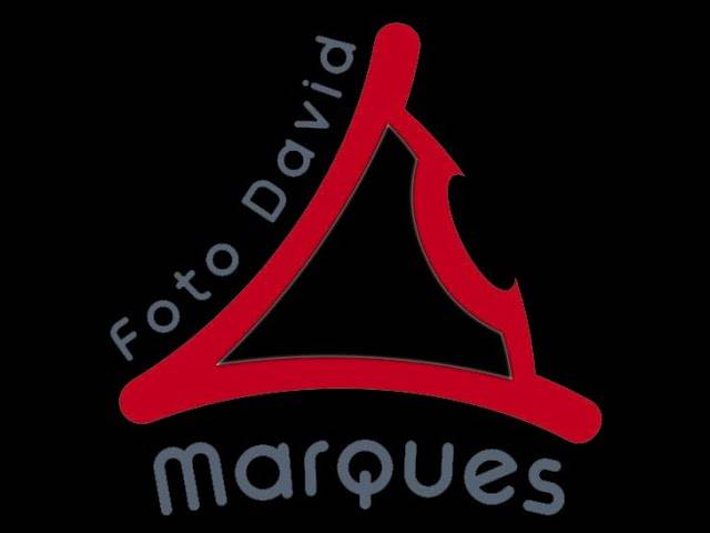 Filmes  de Carnaval Infantil Arouca 2020