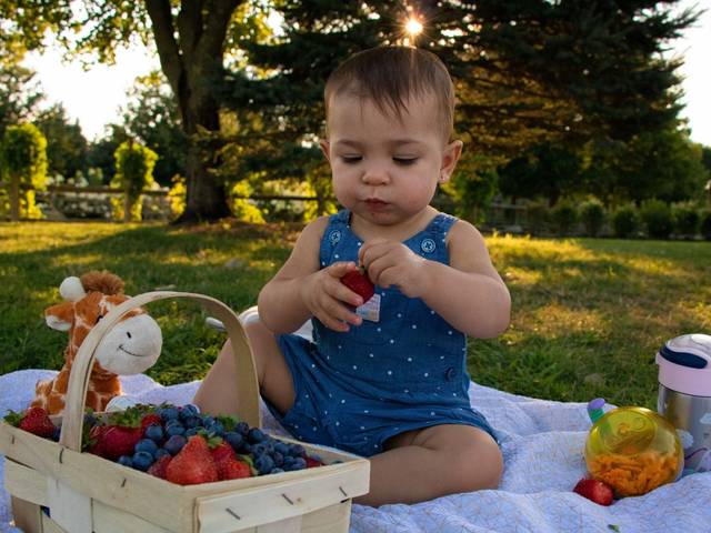 Families of Isabella Luz