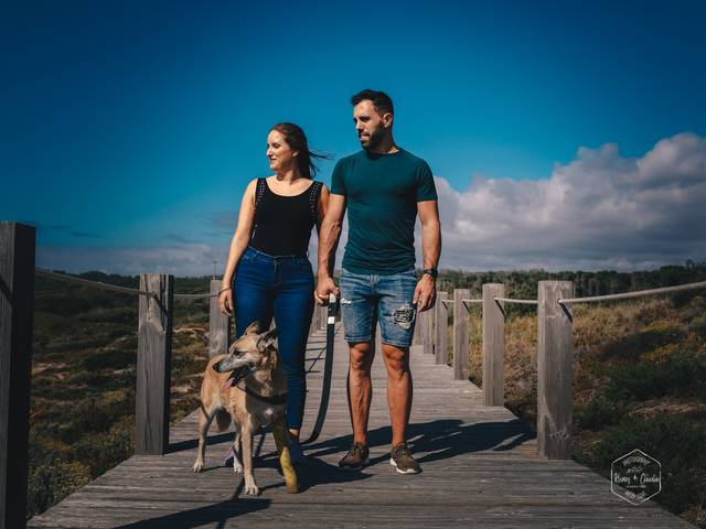 Trabalhos Recentes de Casamentos