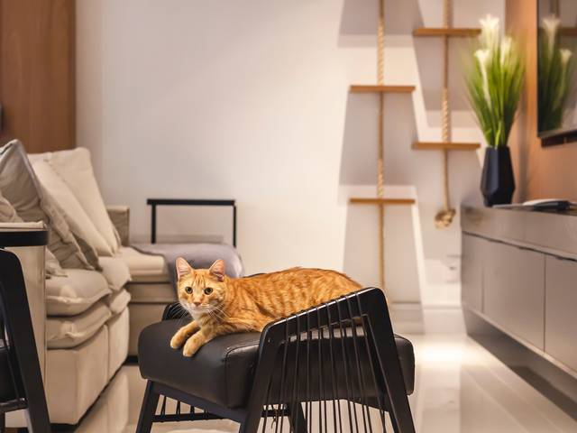 Residencial de Projeto Estudio Gral Arquitetura