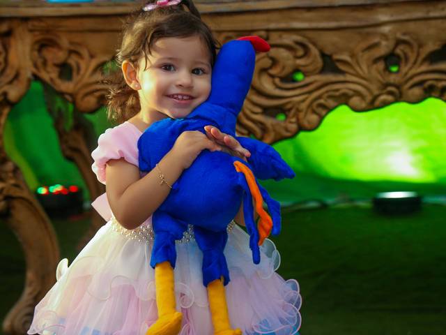 ANIVERSÁRIO INFANTIL de Mariana 2 Anos 