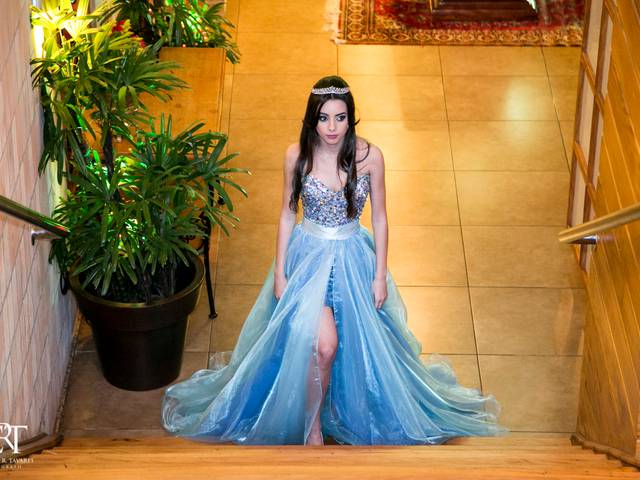 Debutante- Festa/Ball de Anna Clara