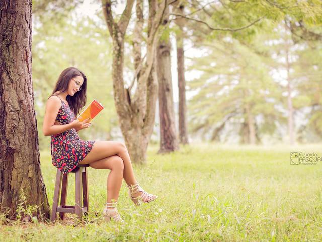 Ensaio de Ensaio Aline