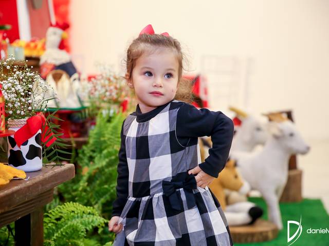 Festas Infantis de 2 Anos Sofia