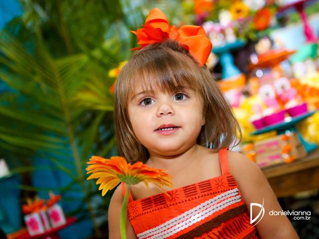 Festas Infantis de Aniversário 2 Anos Ana Luisa