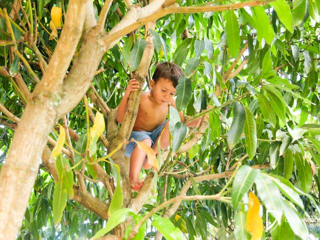 Festas Infantis de 4 Anos Antônio