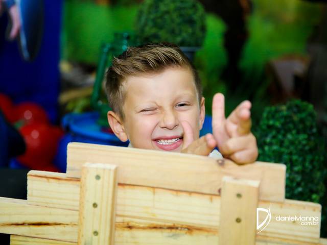 Festas Infantis de 7 Anos João Henrique