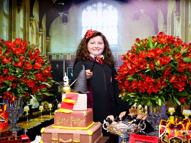 Festas Infantis de Aniversário 9 Anos Maria Eduarda