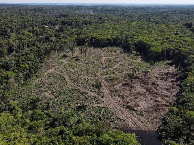 Notícias de Desmatamento na Amazônia é o maior em 6 anos 