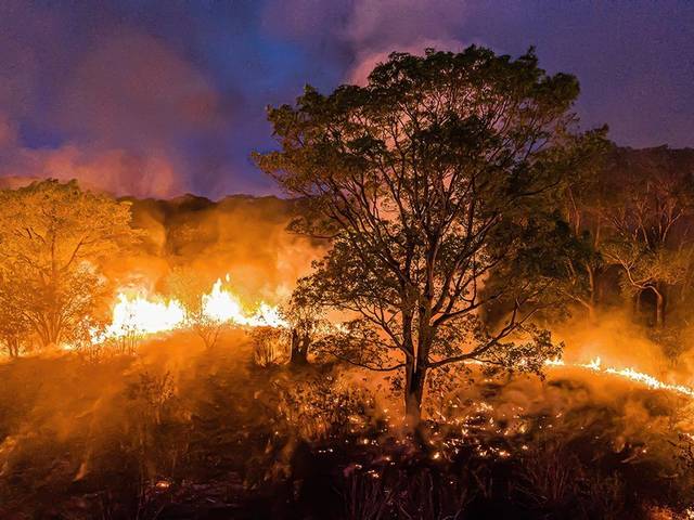 Notícias de Pantanal em alerta 