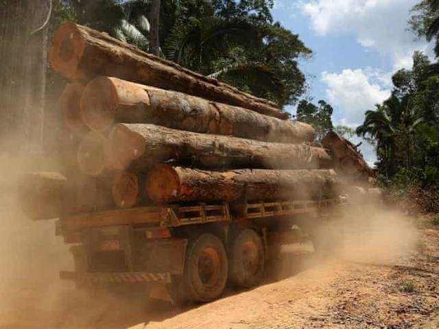 Notícias de Rodovia asfaltada para passar pela Amazônia ganha aprovação inicial no Brasil 