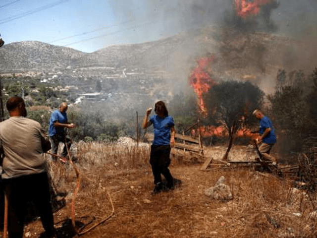 Notícias de Calor extremo atinge Europa, EUA e China 