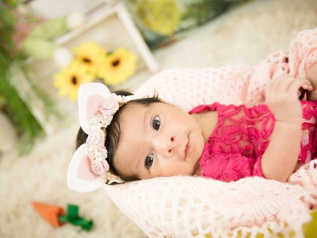 Acompanhamento mensal de Acompanhamento 1-12 Lorrena