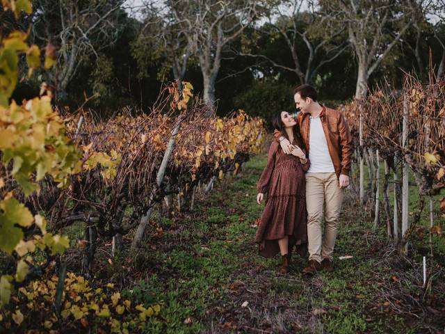 Joyful ~ Gravidez de Joyful Fla e Leo