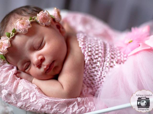 Newborn de Nicole, 18 dias.