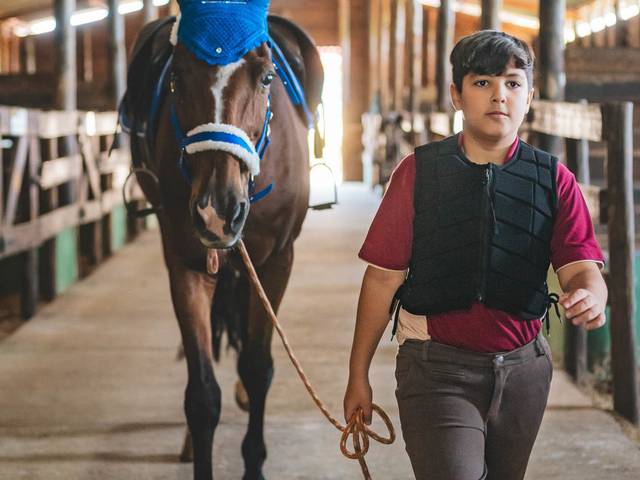 ensaio Hipica de Lucca + Feriado