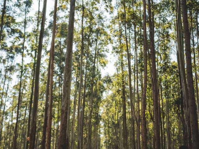 ensaio Hipica de Veronica + Tinker bell