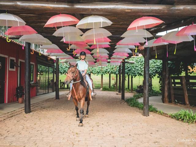 ensaio Hipica de giovana + Apolo