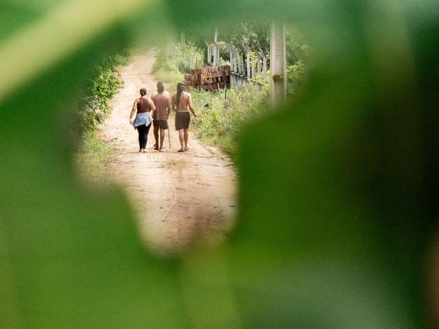 Natureza de Folha verde