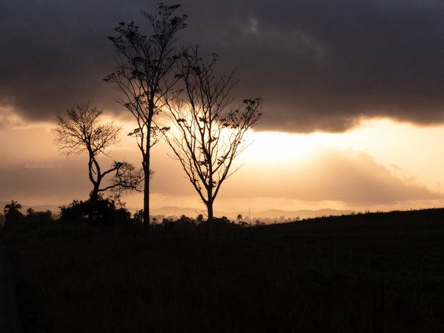 Natureza de nascer do dia