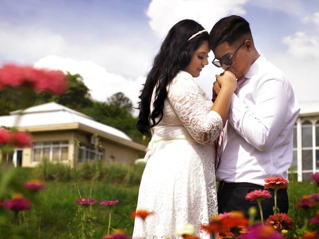   Civil  de Casamento Cívil Milene e João 