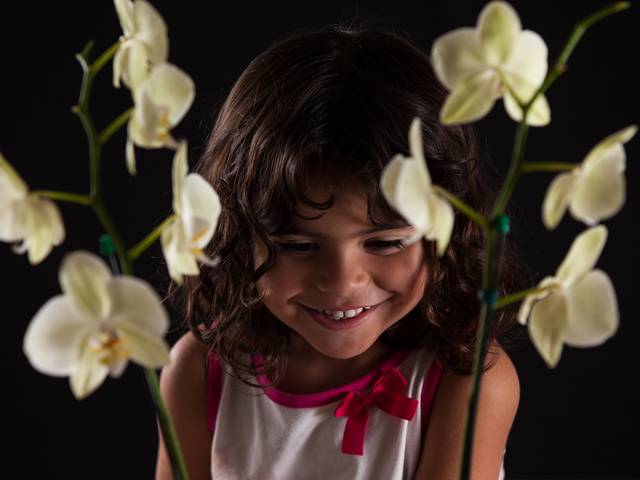 Famílias de Sofia Valadares e a Sessão dos 2