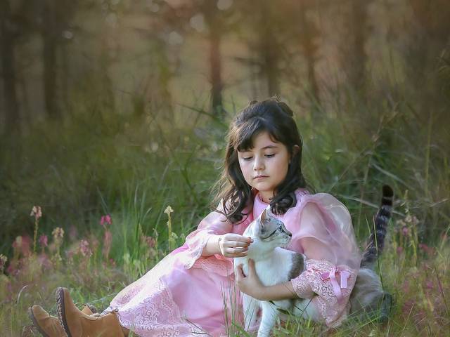 Infantil de Ensaio da  Sara.